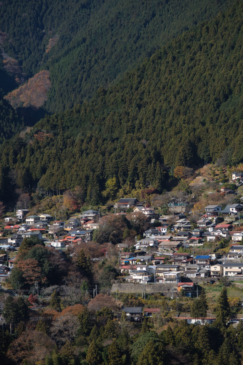 A photo of a village nestled in a forested mountain range.