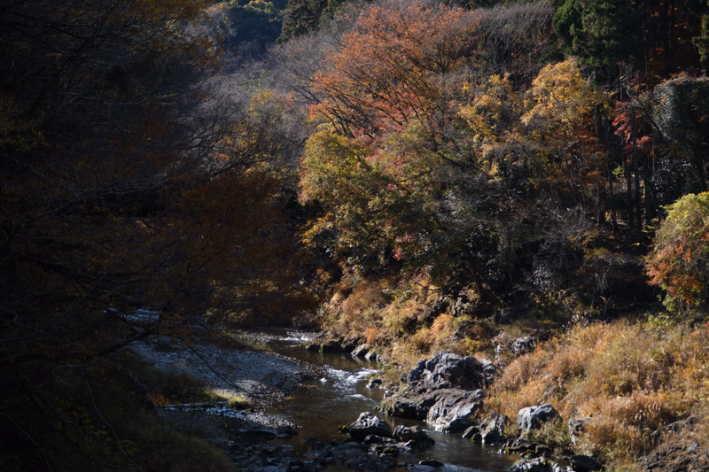 A narrow river flows through a wooded area during autumn, with trees displaying vibrant fall colors and rocks along the bank.