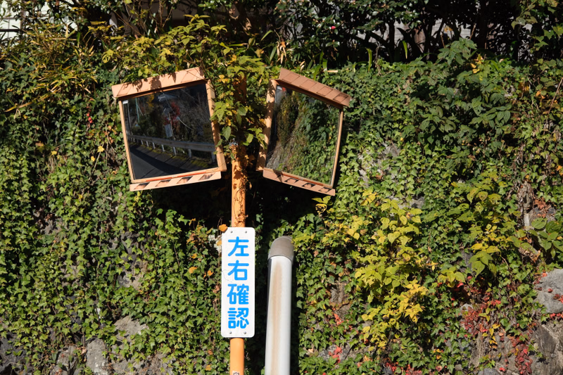 A set of two safety mirrors mounted on a pole in front of dense green foliage, with a sign reading "左右確認".