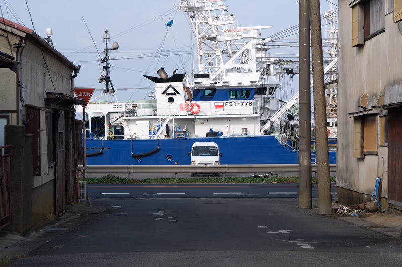 A white van is parked on the road in front of a blue and white ship.