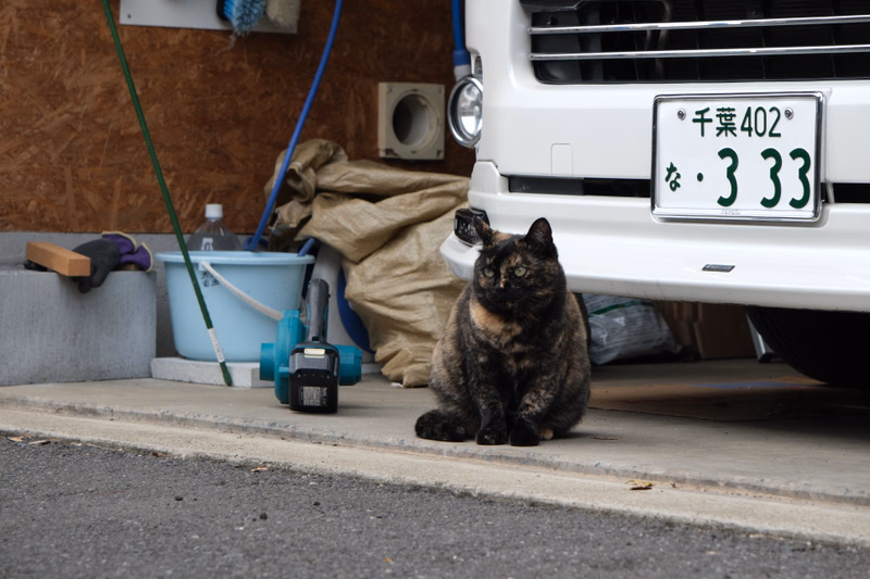 A black and brown cat sits on the ground next to a white car with a license plate reading "千葉402" and "・333".