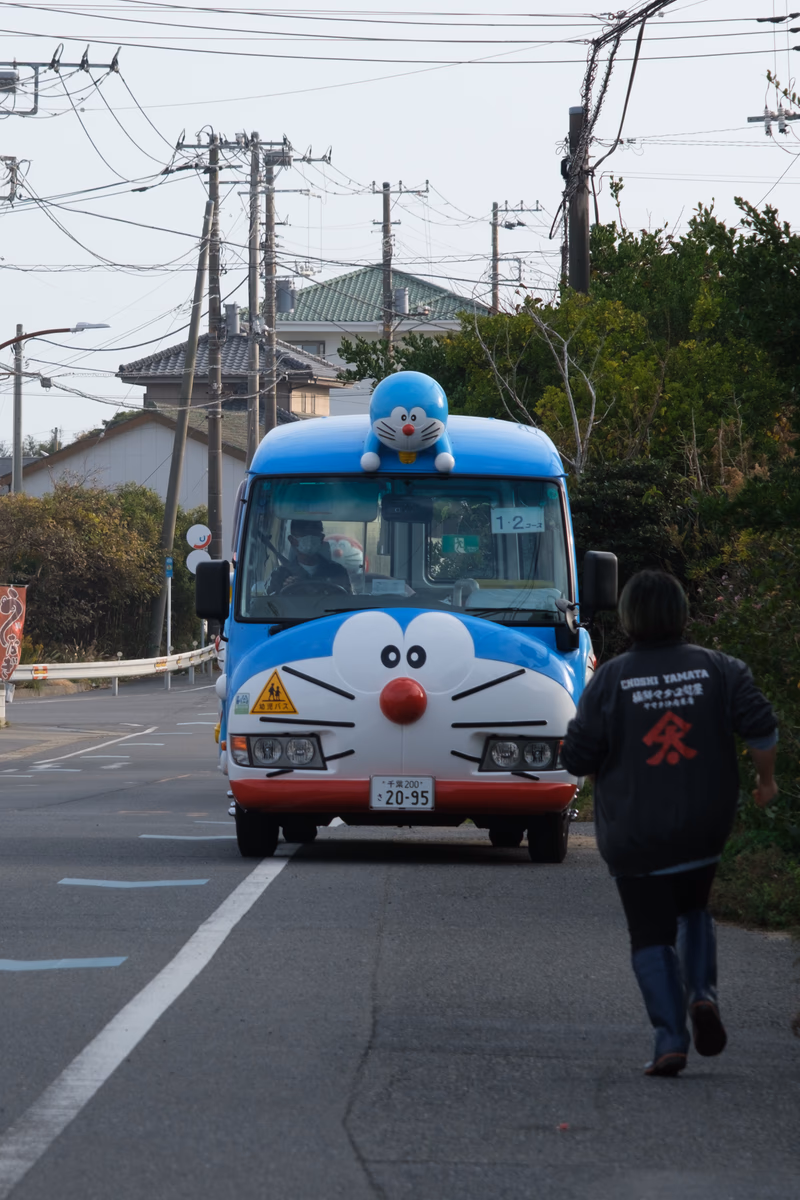 A car with a large cat on its roof, a person walking away, and a road.
