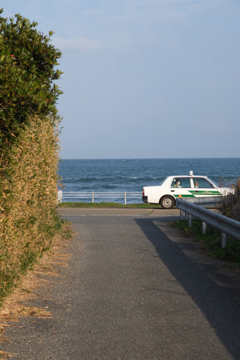 A white car parked on a road with a view of the sea and a tree.