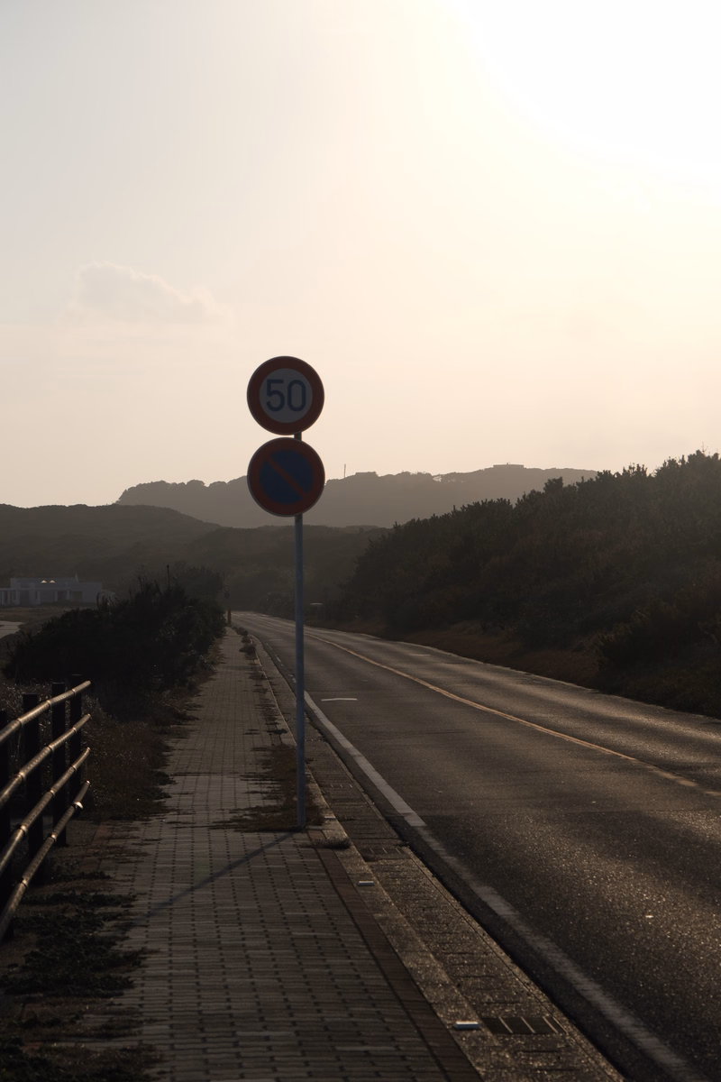 A circular speed limit sign showing "50" is visible next to a paved sidewalk alongside a road under a bright sky.