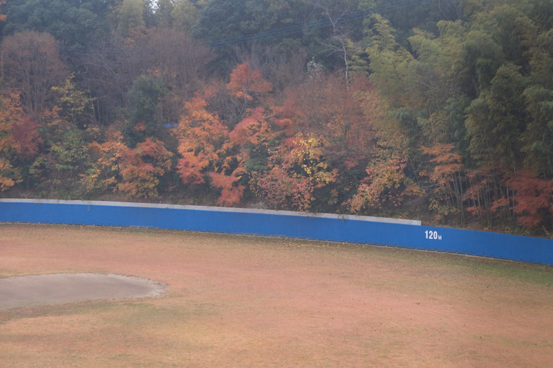 A running track borders a dense forest showing vibrant autumn leaves, with a blue barrier marked "120m".