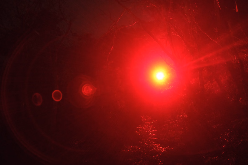 Bright red headlights illuminate a dark, foggy road winding through a dense forest at night.