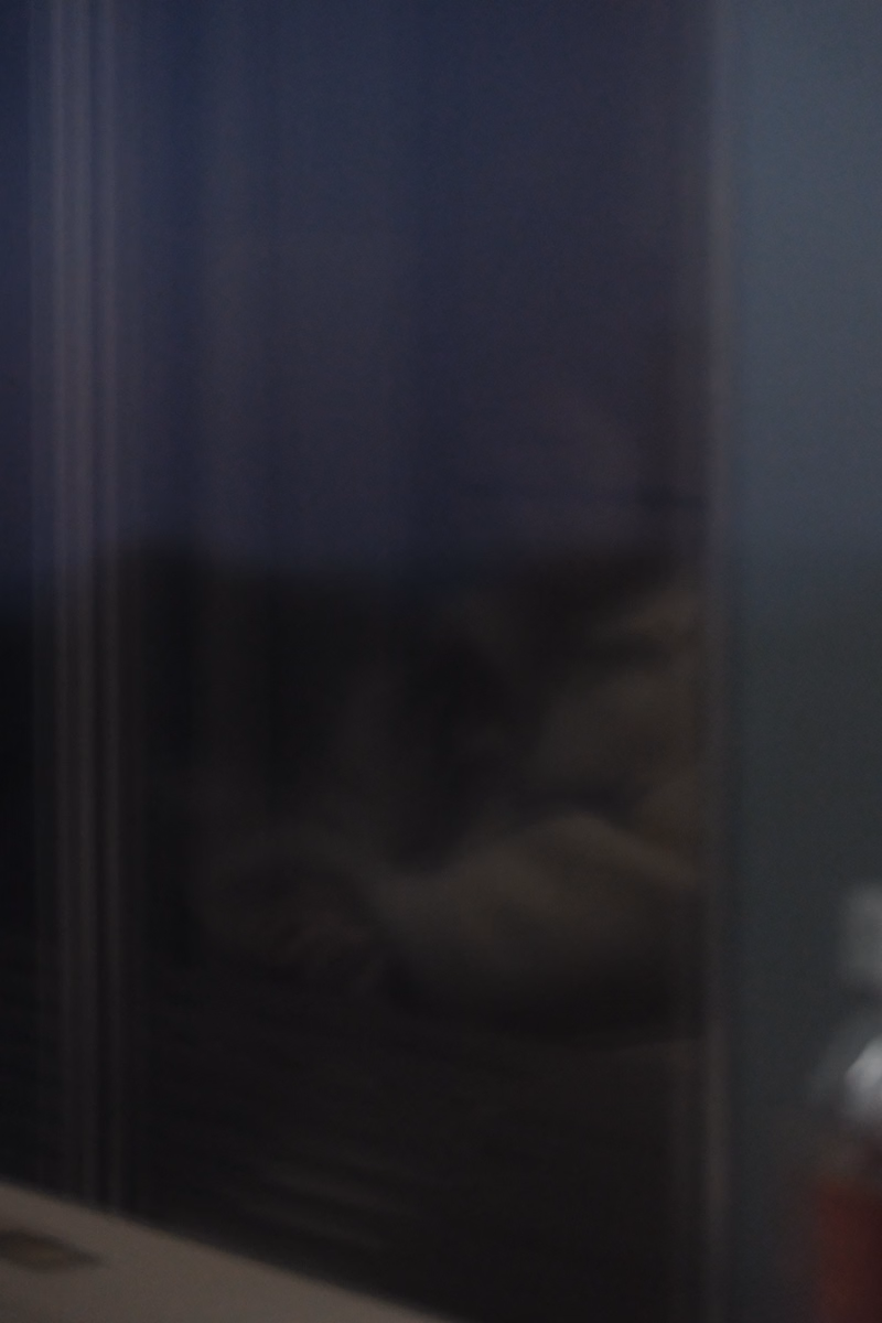 A blurry image showing a reflection in a window, with indistinct shapes visible inside.