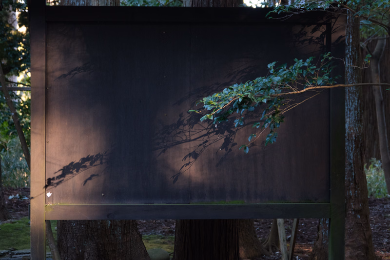 A dark wooden sign panel is partially covered by the shadow of tree branches and leaves in an outdoor setting.