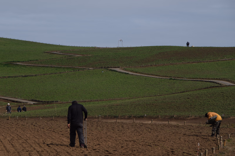 A farmer in dark clothing stands in a freshly tilled brown field overlooking green cultivated hills under a cloudy sky.