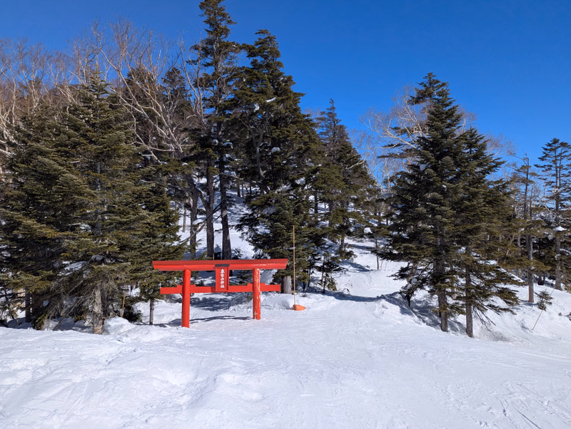A red torii gate stands in a snowy forest area surrounded by tall pine trees under a clear blue sky.
