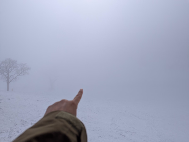 A person's hand points into a dense, foggy, snowy landscape with bare trees visible in the distance.