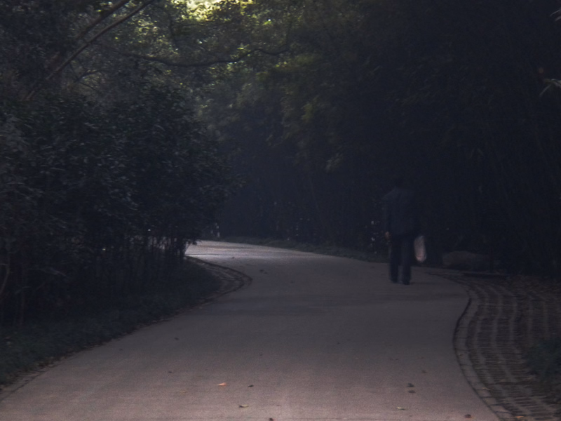 A person walks down a winding paved path surrounded by dense, dark trees in a shaded area.