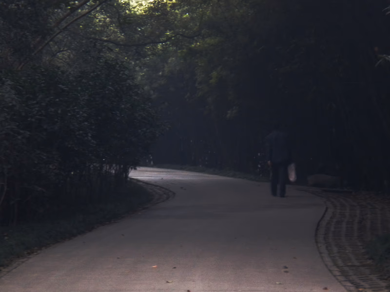 A man walking down a path in a forested area.
