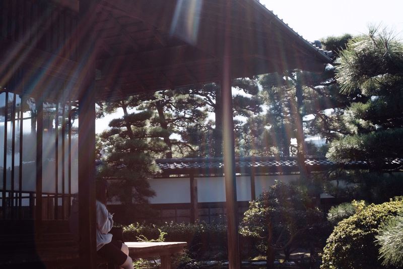 A view through the dark wooden porch of a traditional Japanese building overlooking a lush, green garden with many trees.