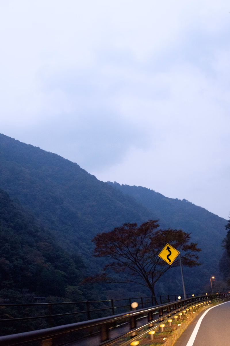 A winding road curves through a misty mountain landscape with a yellow warning sign visible near a bare tree.
