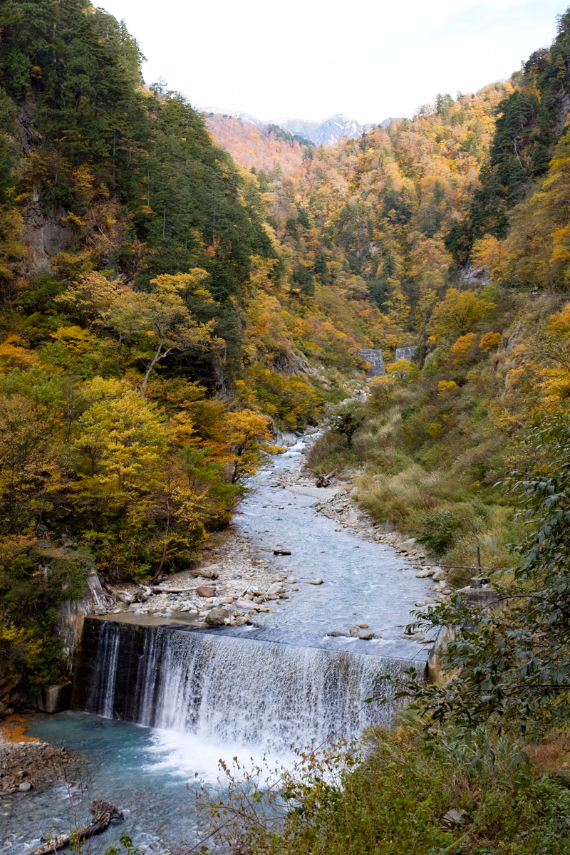 A serene waterfall in a lush forest