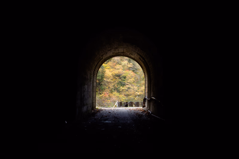 A photograph of a tunnel opening to a forest with fall colors.
