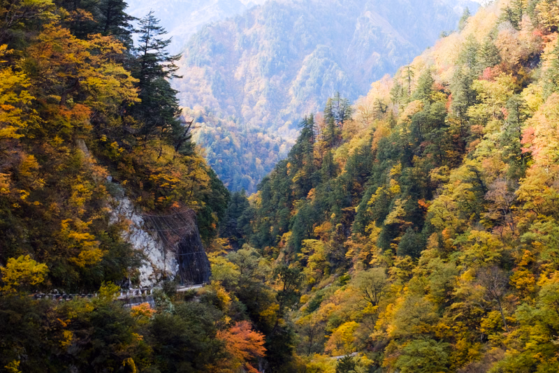 A view of a deep valley surrounded by mountains covered in vibrant autumn foliage.