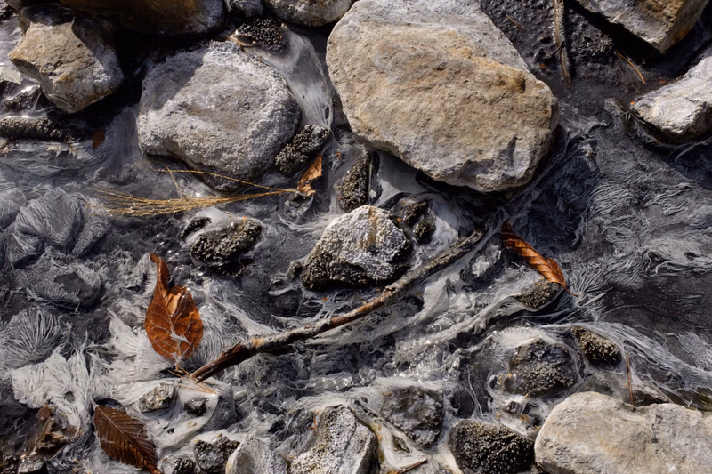 A close-up view of a rocky riverbed with flowing water, scattered brown leaves, and small twigs.