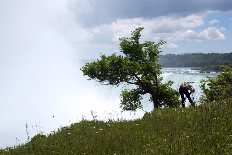 A person stands near a large tree overlooking a powerful waterfall and mist on a grassy hillside.
