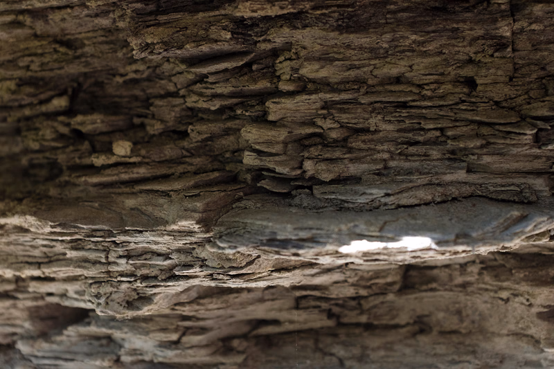 Close-up view of layered sedimentary rock showing distinct horizontal strata and a lighter band near the bottom.