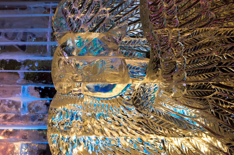 A stunning ice sculpture of a bird, intricately carved with detailed feather patterns and a golden hue.