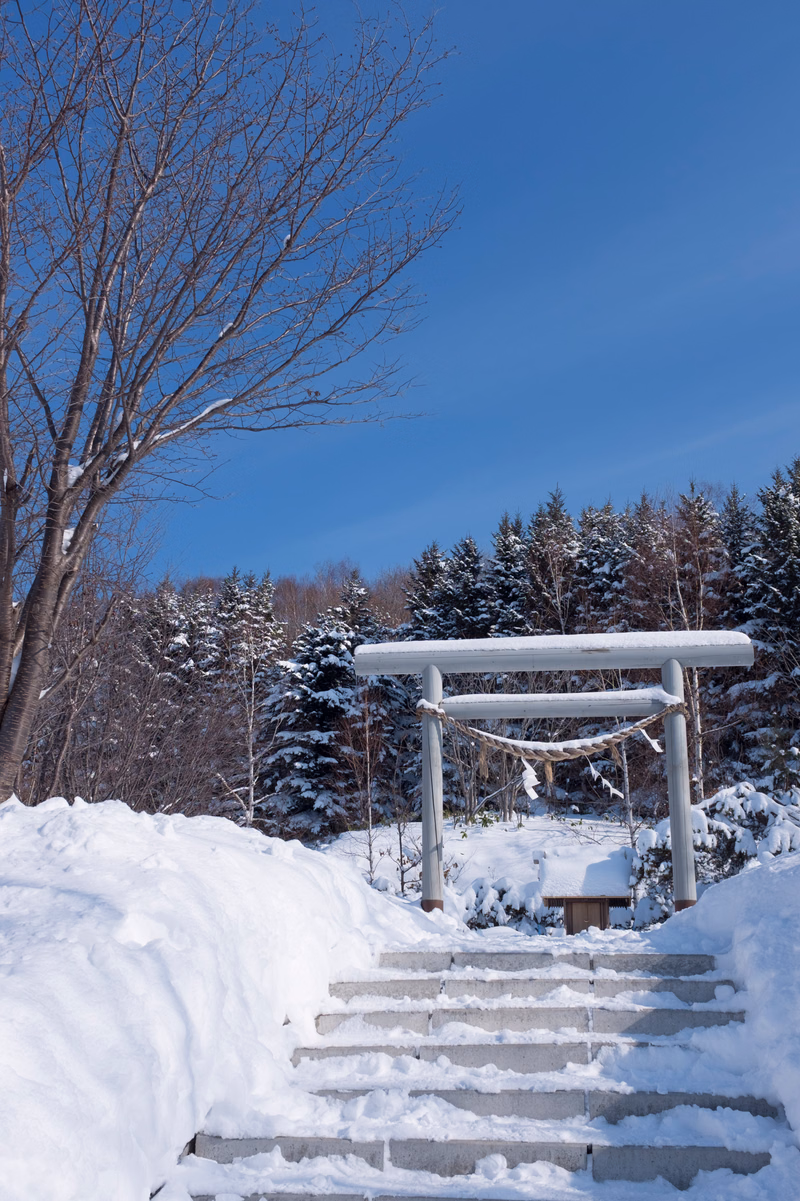 A traditional Japanese torii gate stands at the top of snow-covered stone steps leading through a winter forest.