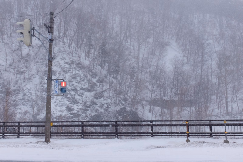 A traffic light stands next to a road fence in a snowy, wooded area during a snowfall.