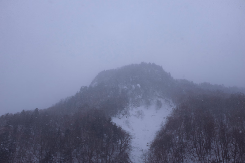 A snow-covered mountain peak rises through a dense, foggy winter forest.
