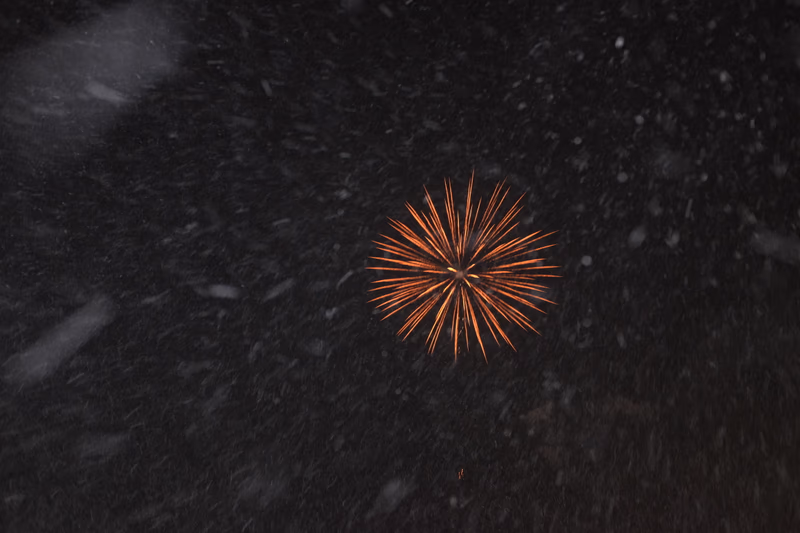 A nighttime shot of a firework exploding in the snow.