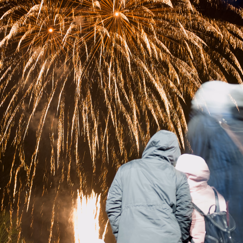 A photograph of fireworks exploding in the night sky with two people watching from a distance.