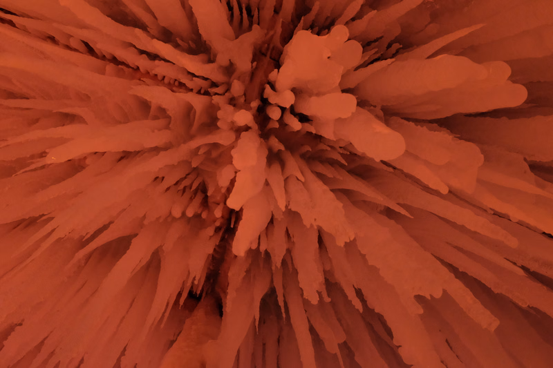 A close-up view of vibrant, branching coral formations in a warm, reddish-orange underwater environment.