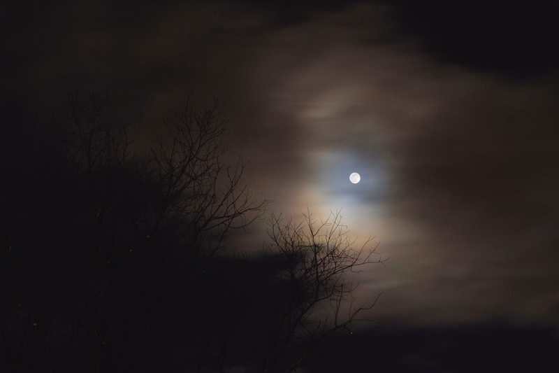 A bright full moon shines through heavy, dark clouds above silhouetted bare trees at night.