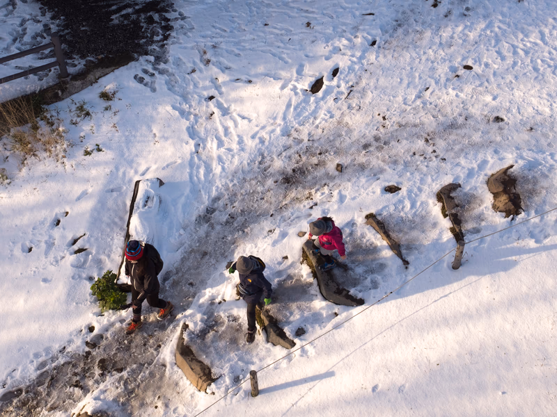 A group of people is walking through a snowy path with trees on either side.