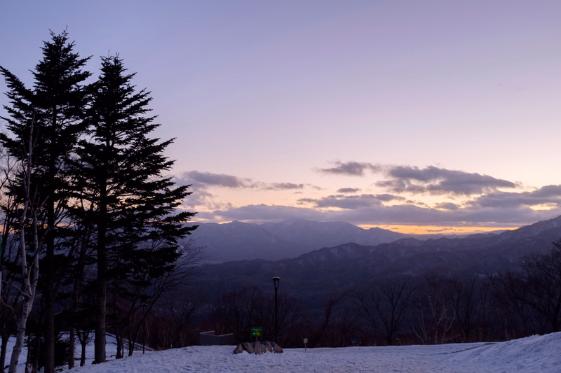 A tall evergreen tree stands in the foreground against a backdrop of rolling mountains during a twilight sunset over snow-covered ground.