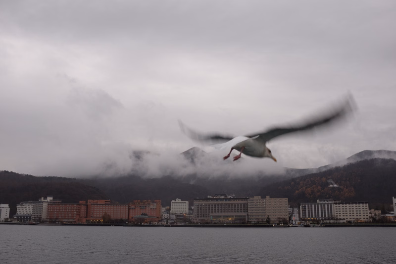 A seagull flies low over a body of water with a city skyline visible in the background under heavy, overcast clouds.