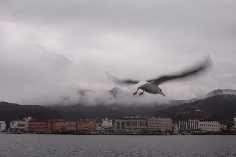 A seagull flying over the Sapporo waterfront on a cloudy day.