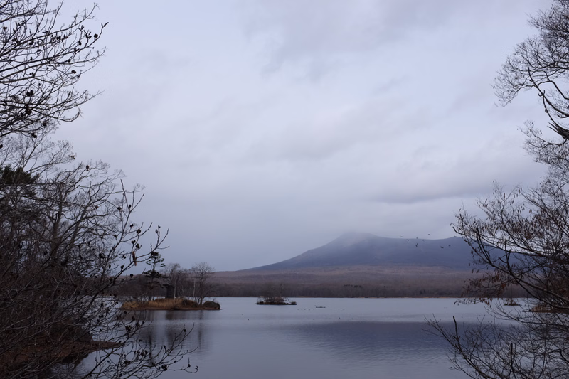 A wide view of a calm lake with a large, hazy mountain rising in the distance under an overcast sky.