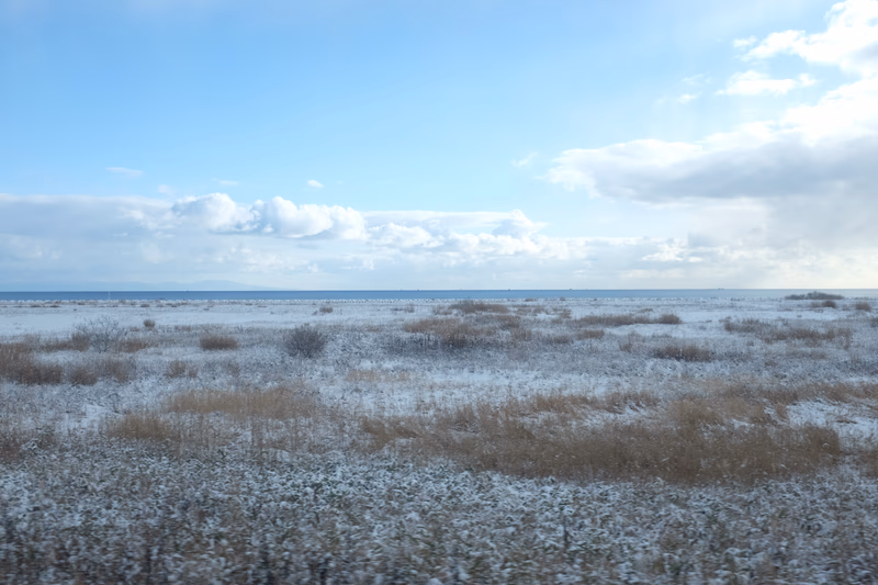 A serene winter landscape with snow-covered fields and a distant horizon.