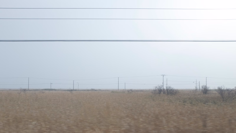Multiple horizontal power lines stretch across a wide, dry field under a bright, pale sky.