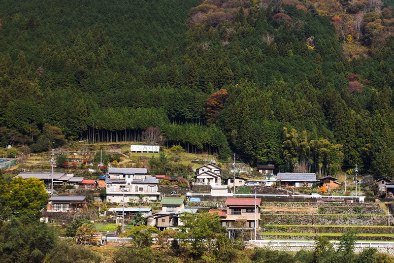 A small village nestled at the base of a densely forested mountain slope, featuring numerous houses and terraced fields.