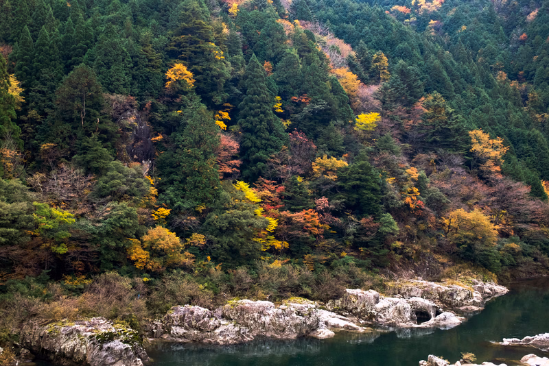 A dense mountain forest displays vibrant autumn foliage along the banks of a calm river.