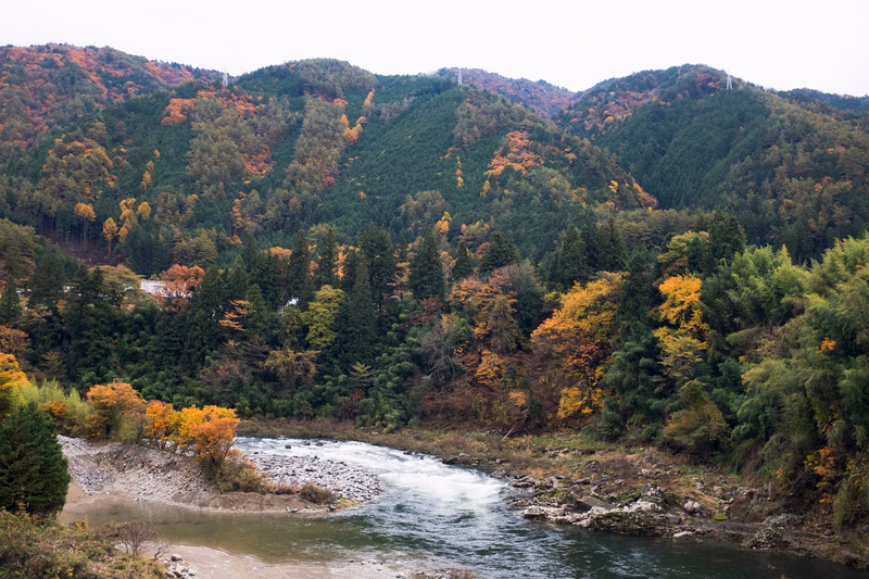 A wide river flows through a valley surrounded by densely forested mountains showing early autumn colors.