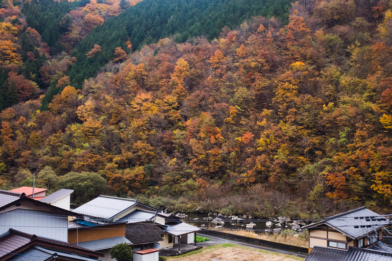 A view of colorful autumn foliage covering a steep mountain slope above a river, with several traditional houses visible in the foreground.