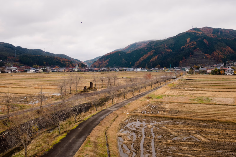 A wide view of a rural landscape featuring vast rice fields stretching toward rolling mountains covered in autumn foliage under an overcast sky.