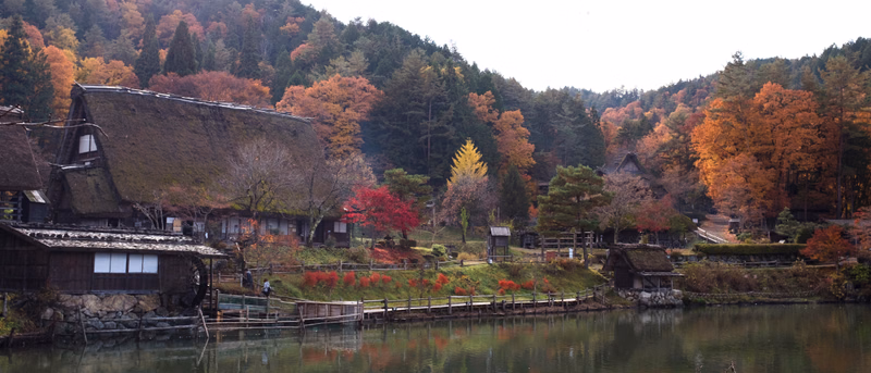Traditional Japanese houses with thatched roofs line the edge of a calm pond surrounded by vibrant autumn foliage on the mountainside.