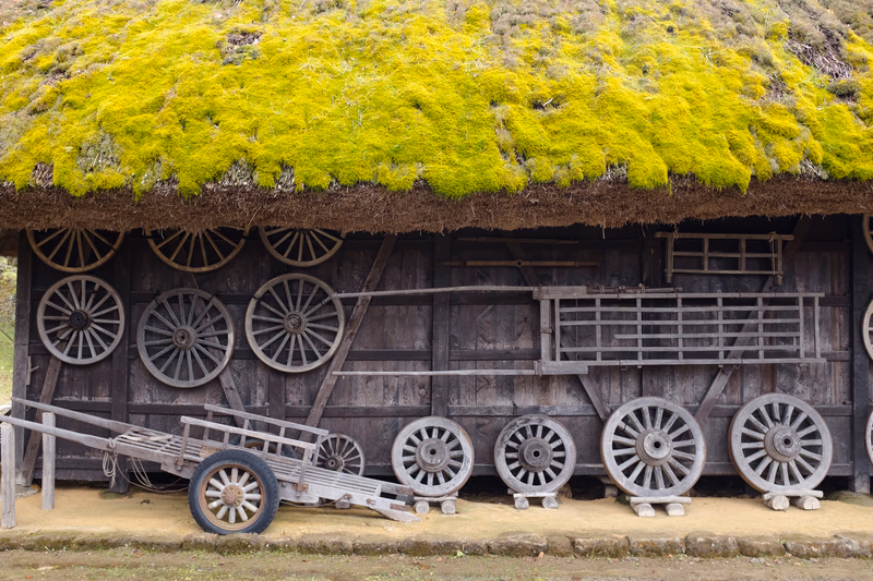 A rustic wooden house with a thatched roof covered in moss, surrounded by old wooden wheels and a dirt path.