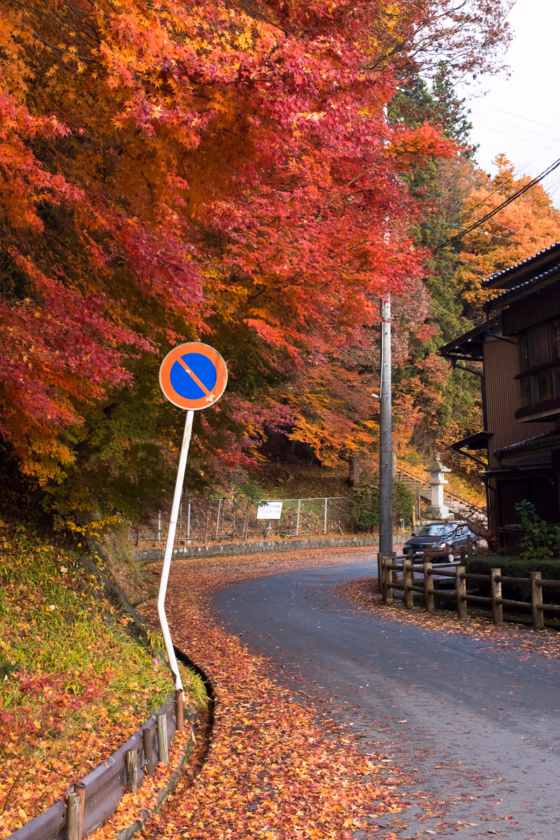 A picturesque autumn scene in Japan, with a car parked on the side of a winding road, surrounded by vibrant fall foliage.