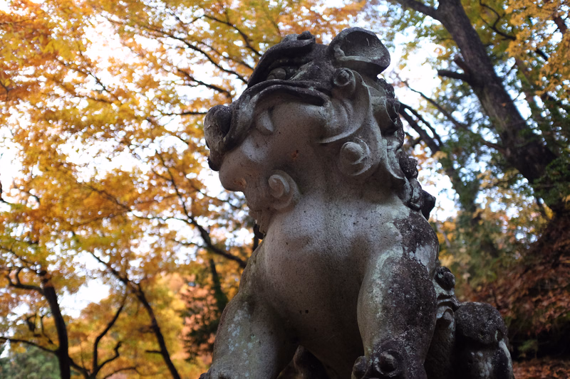A weathered stone guardian statue is set against a backdrop of vibrant yellow and orange autumn leaves in a park.