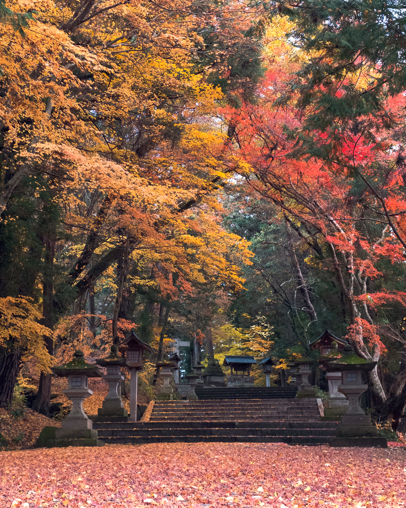 A serene autumn scene with stone lanterns and steps leading up a forested area.